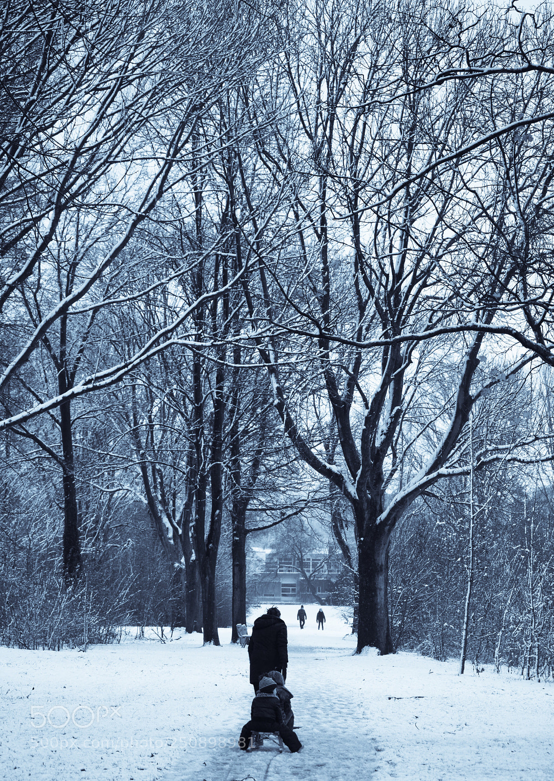 Nikon D3300 sample photo. Snowtime photography