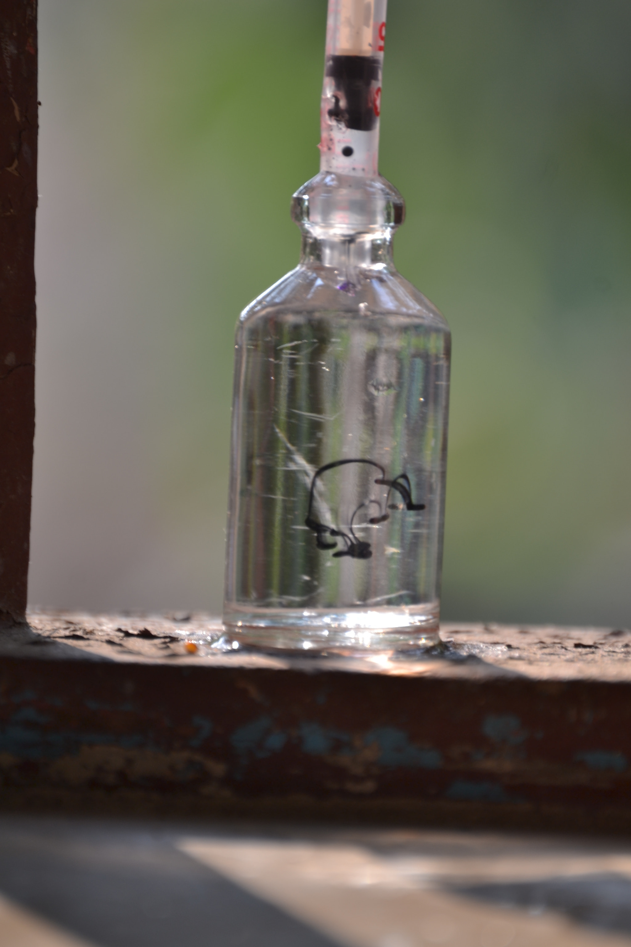 Nikon D3100 sample photo