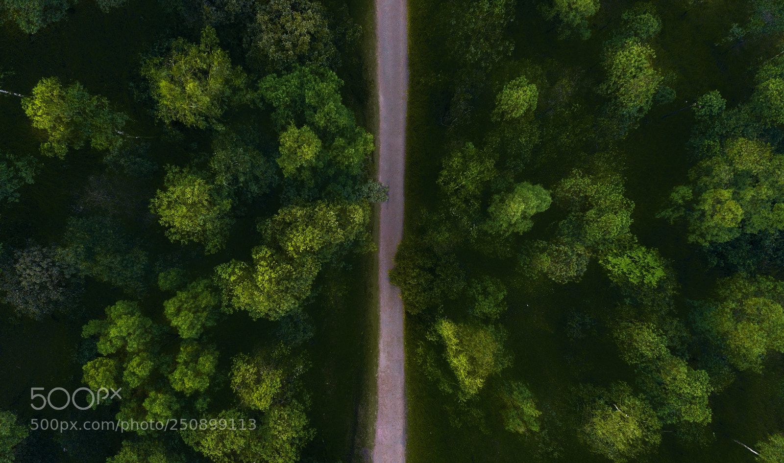 DJI FC220 sample photo. Hit the road photography