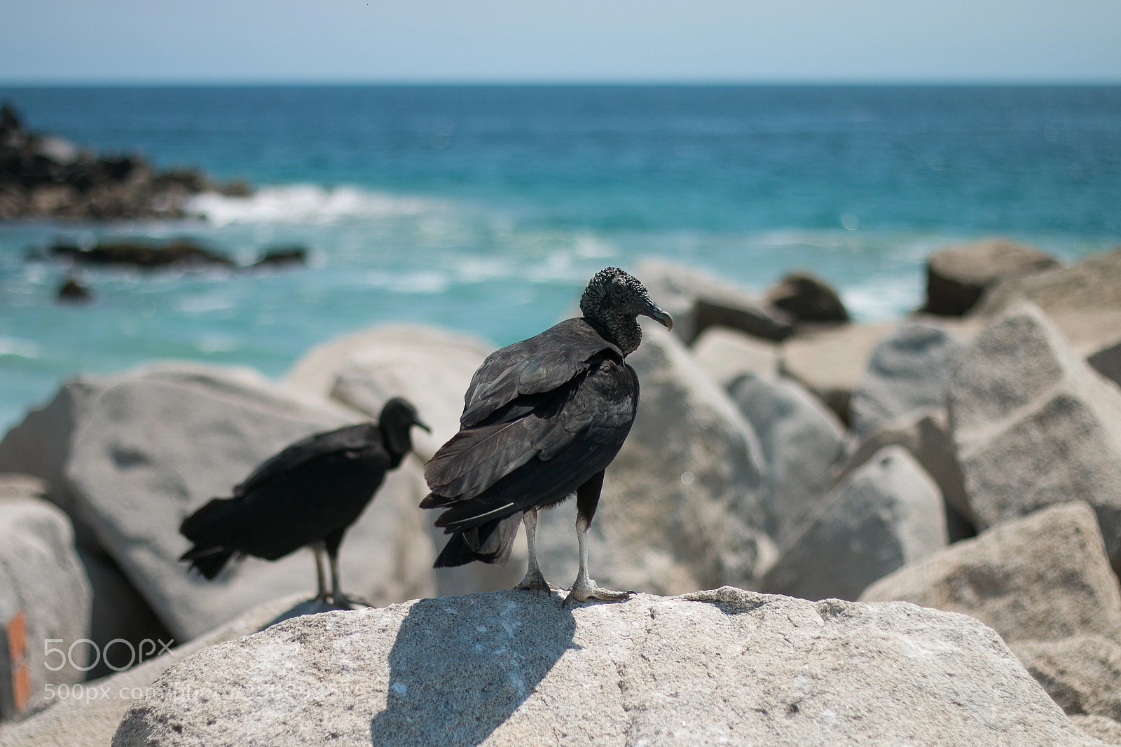Canon EOS 70D sample photo. Conectando la mirada. photography