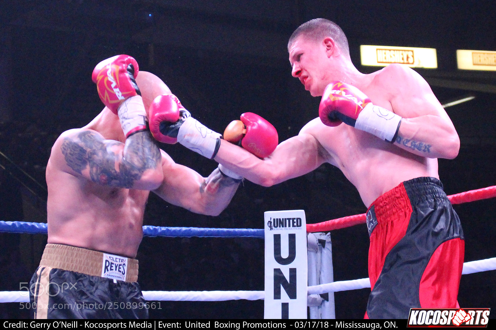 Canon EOS 700D (EOS Rebel T5i / EOS Kiss X7i) sample photo. Jason alexander vs. darren photography