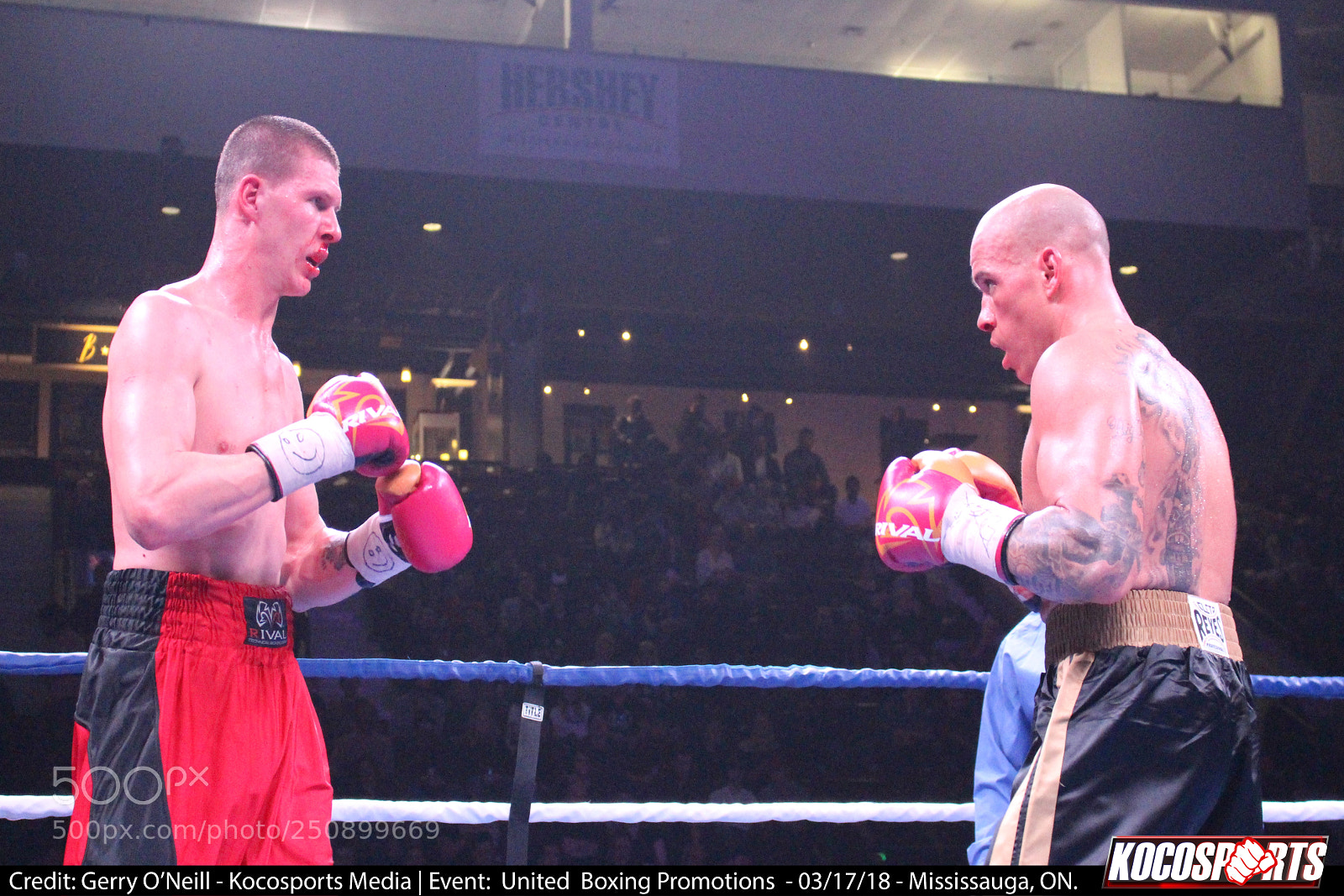 Canon EOS 700D (EOS Rebel T5i / EOS Kiss X7i) sample photo. Jason alexander vs. darren photography