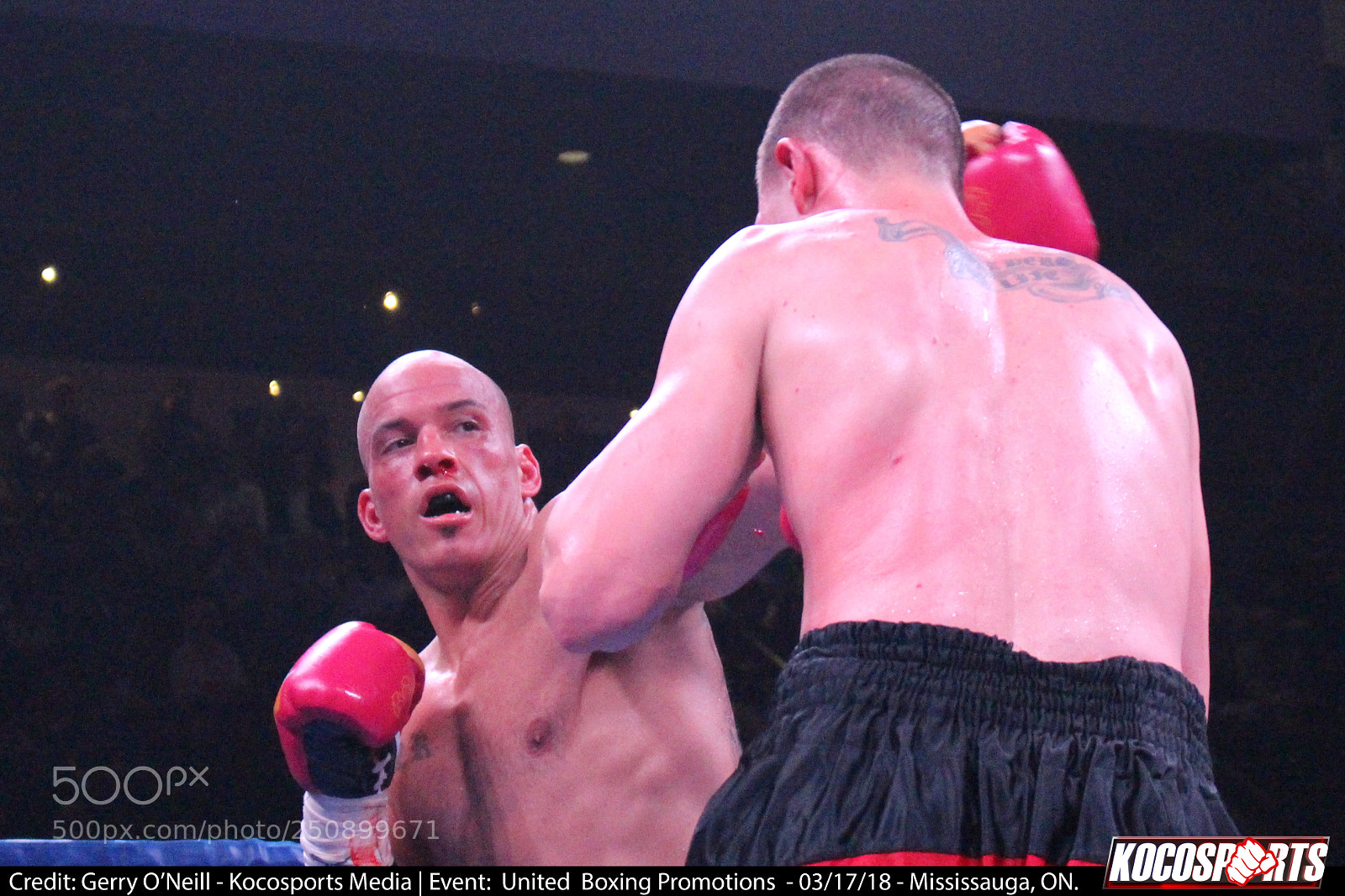 Canon EOS 700D (EOS Rebel T5i / EOS Kiss X7i) sample photo. Jason alexander vs. darren photography