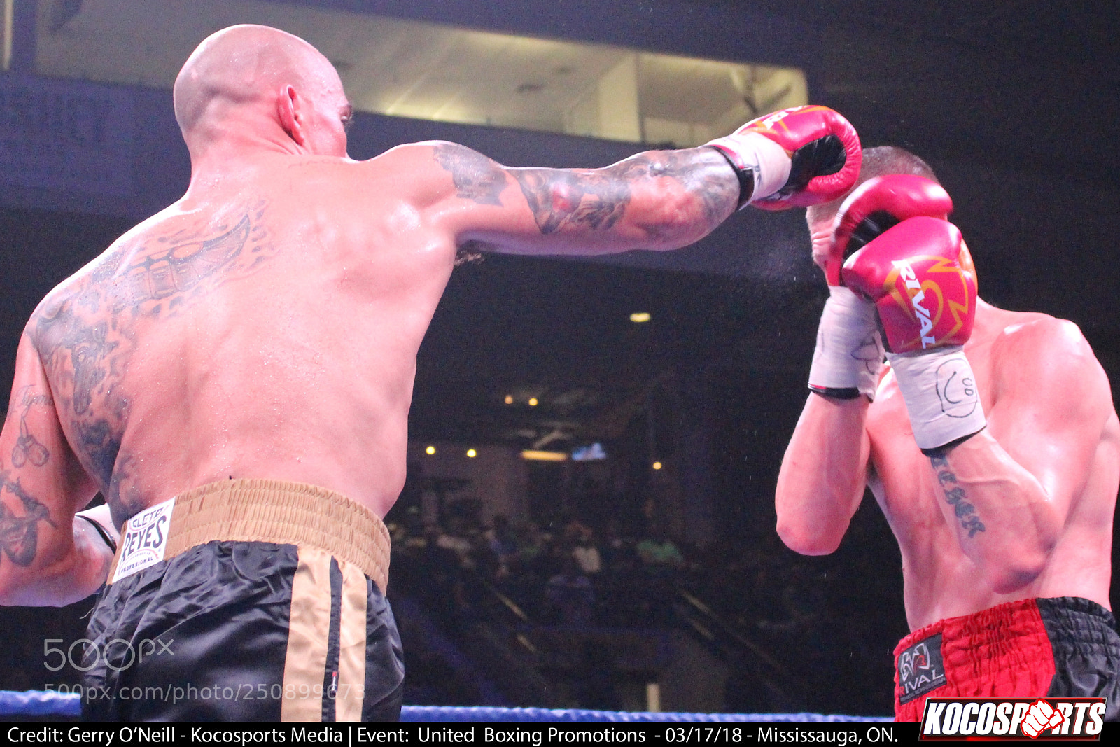Canon EOS 700D (EOS Rebel T5i / EOS Kiss X7i) sample photo. Jason alexander vs. darren photography