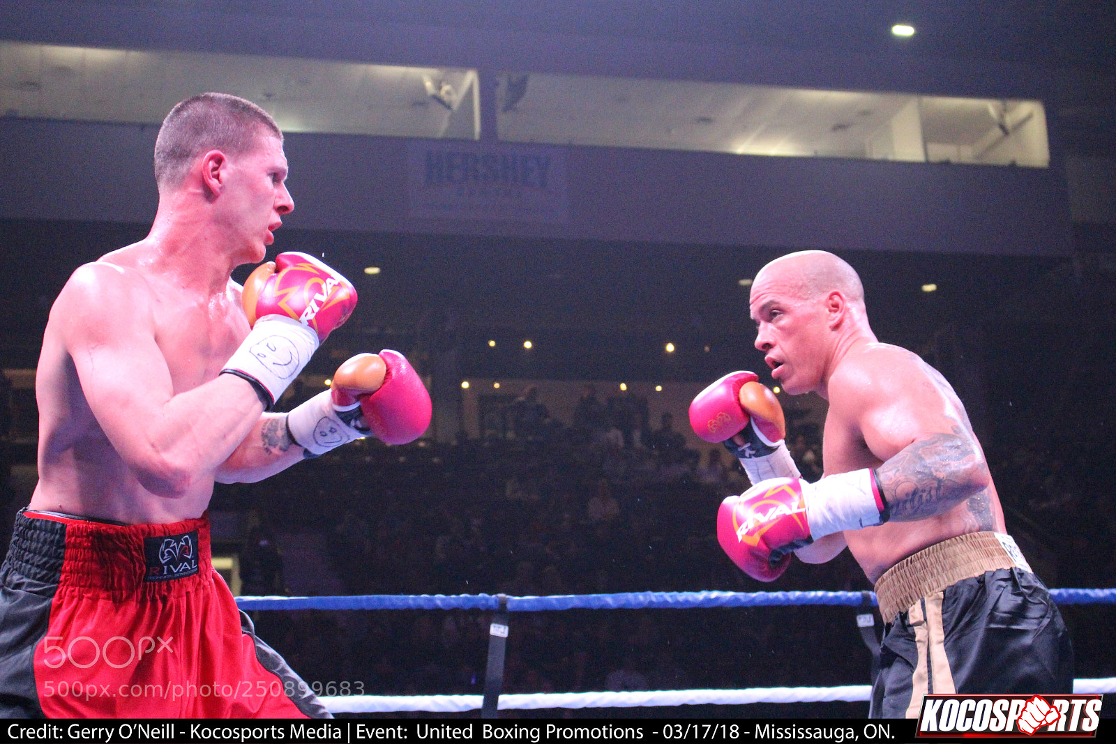 Canon EOS 700D (EOS Rebel T5i / EOS Kiss X7i) sample photo. Jason alexander vs. darren photography