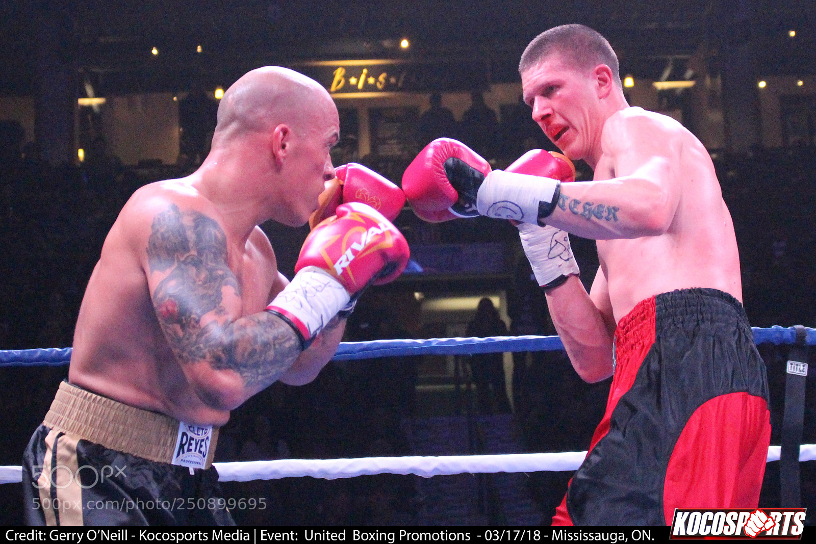 Canon EOS 700D (EOS Rebel T5i / EOS Kiss X7i) sample photo. Jason alexander vs. darren photography