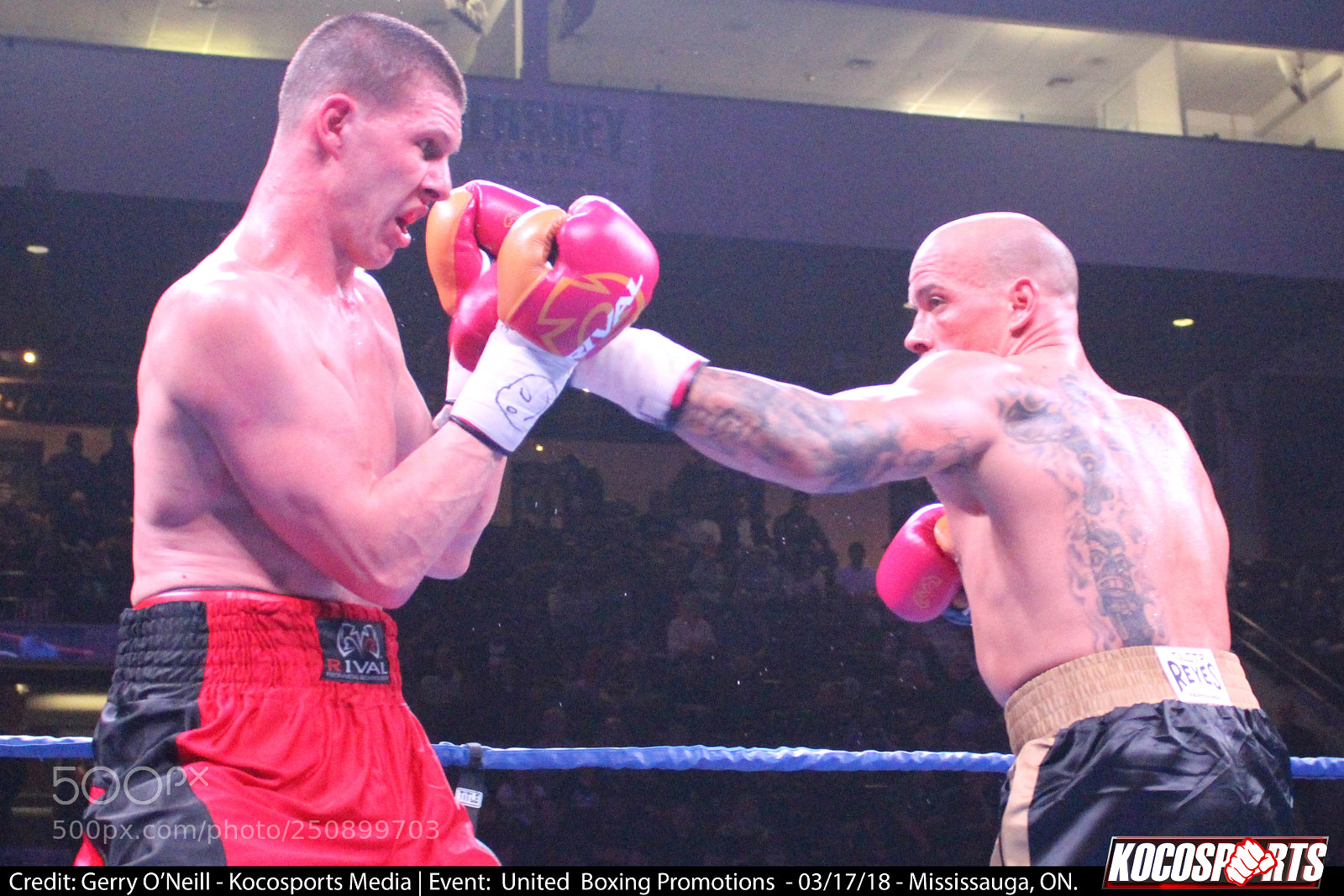 Canon EOS 700D (EOS Rebel T5i / EOS Kiss X7i) sample photo. Jason alexander vs. darren photography