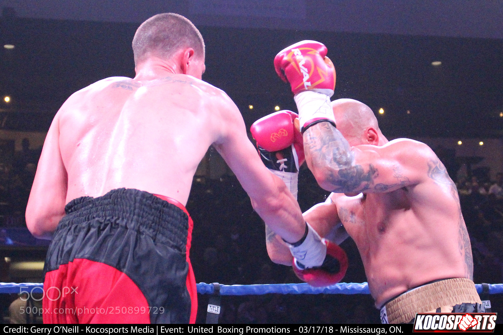 Canon EOS 700D (EOS Rebel T5i / EOS Kiss X7i) sample photo. Jason alexander vs. darren photography