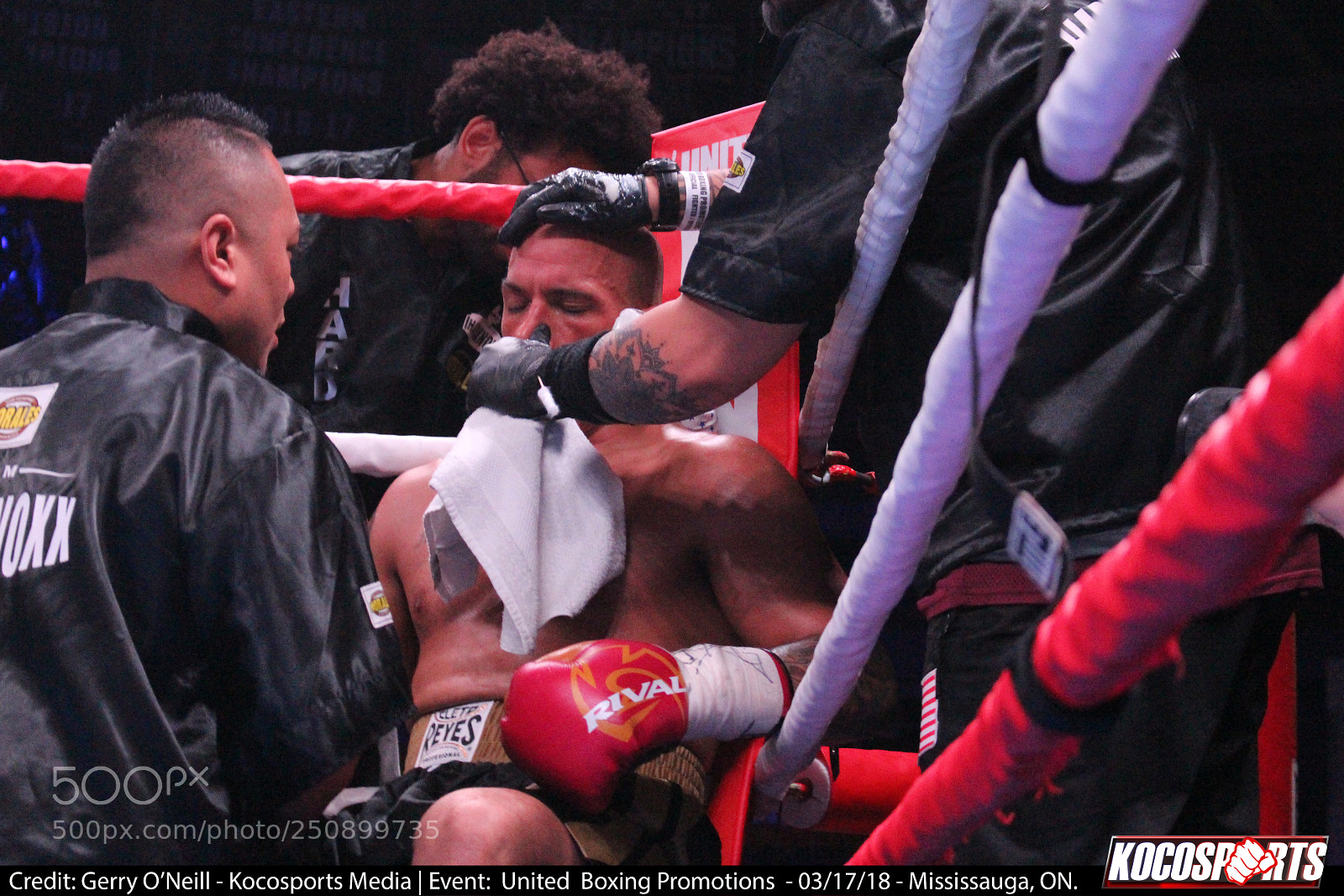 Canon EOS 700D (EOS Rebel T5i / EOS Kiss X7i) sample photo. Jason alexander vs. darren photography