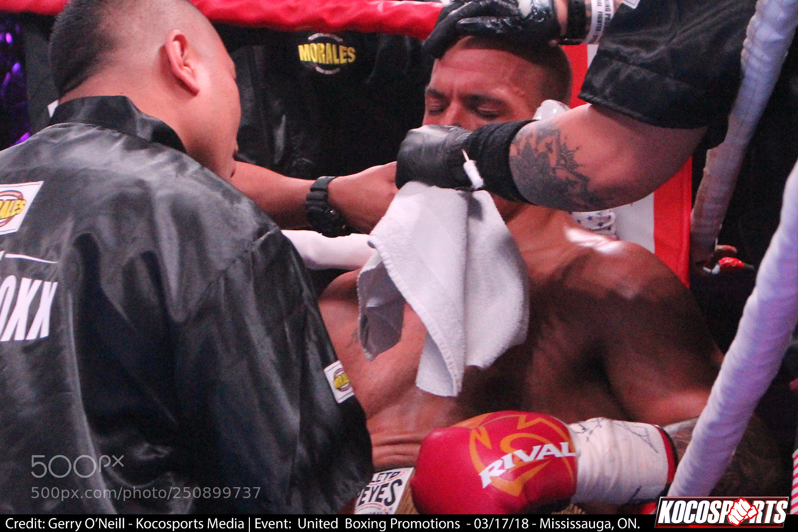 Canon EOS 700D (EOS Rebel T5i / EOS Kiss X7i) sample photo. Jason alexander vs. darren photography