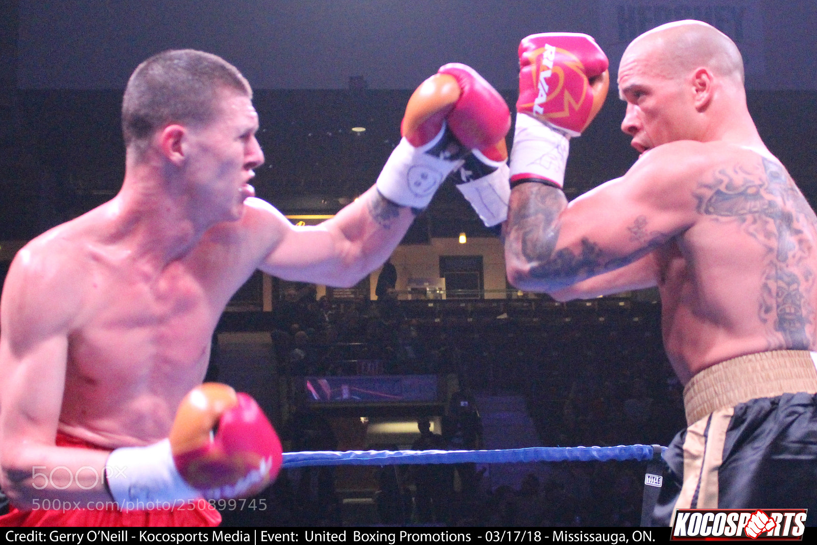Canon EOS 700D (EOS Rebel T5i / EOS Kiss X7i) sample photo. Jason alexander vs. darren photography
