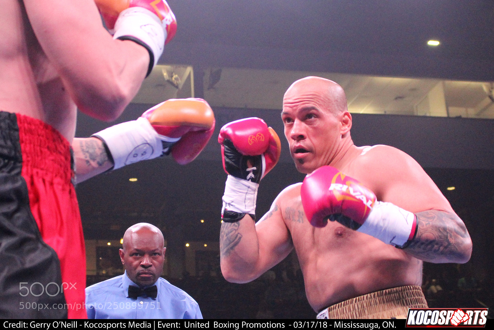 Canon EOS 700D (EOS Rebel T5i / EOS Kiss X7i) sample photo. Jason alexander vs. darren photography