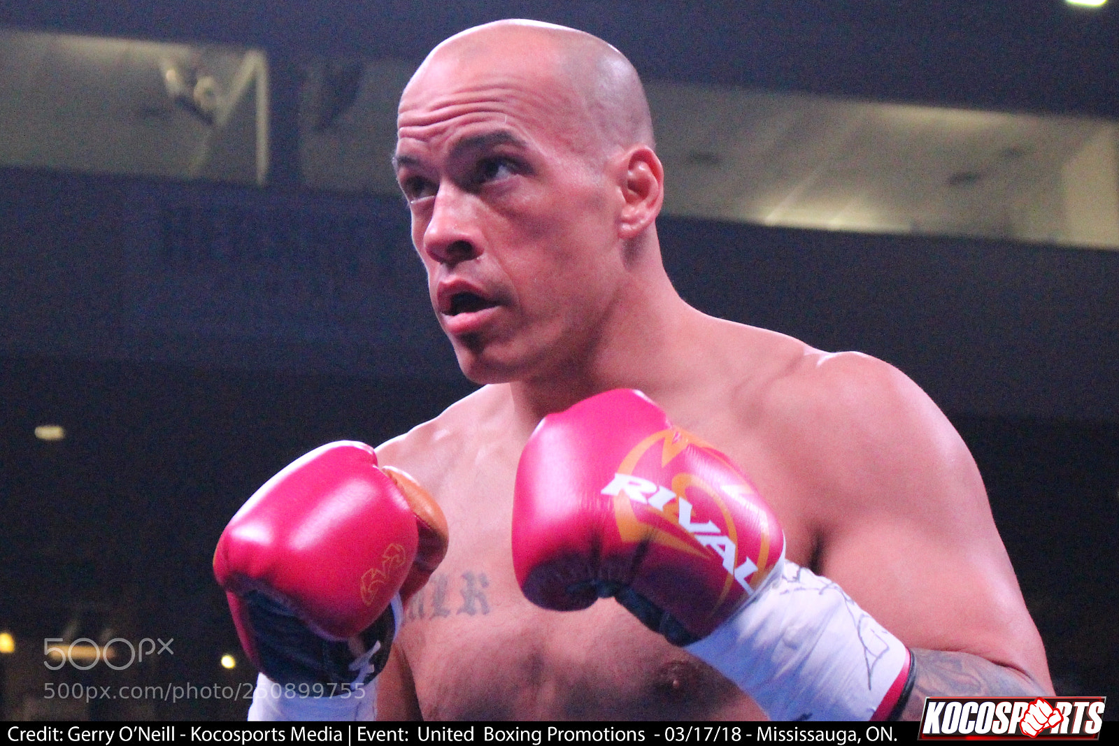 Canon EOS 700D (EOS Rebel T5i / EOS Kiss X7i) sample photo. Jason alexander vs. darren photography