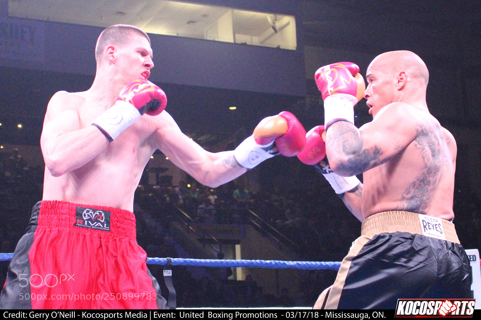 Canon EOS 700D (EOS Rebel T5i / EOS Kiss X7i) sample photo. Jason alexander vs. darren photography