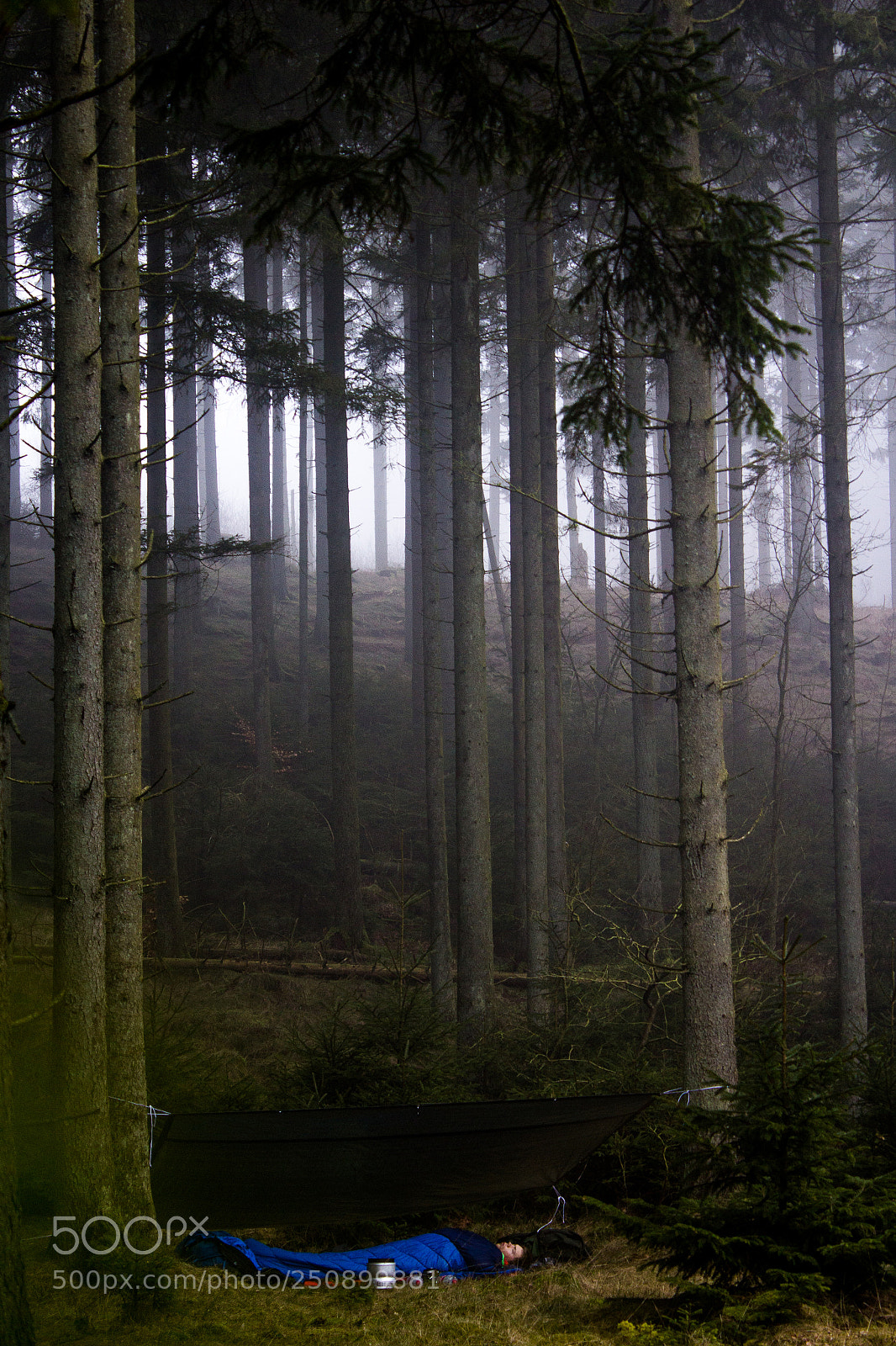 Canon EOS 600D (Rebel EOS T3i / EOS Kiss X5) sample photo. Foggy morning photography
