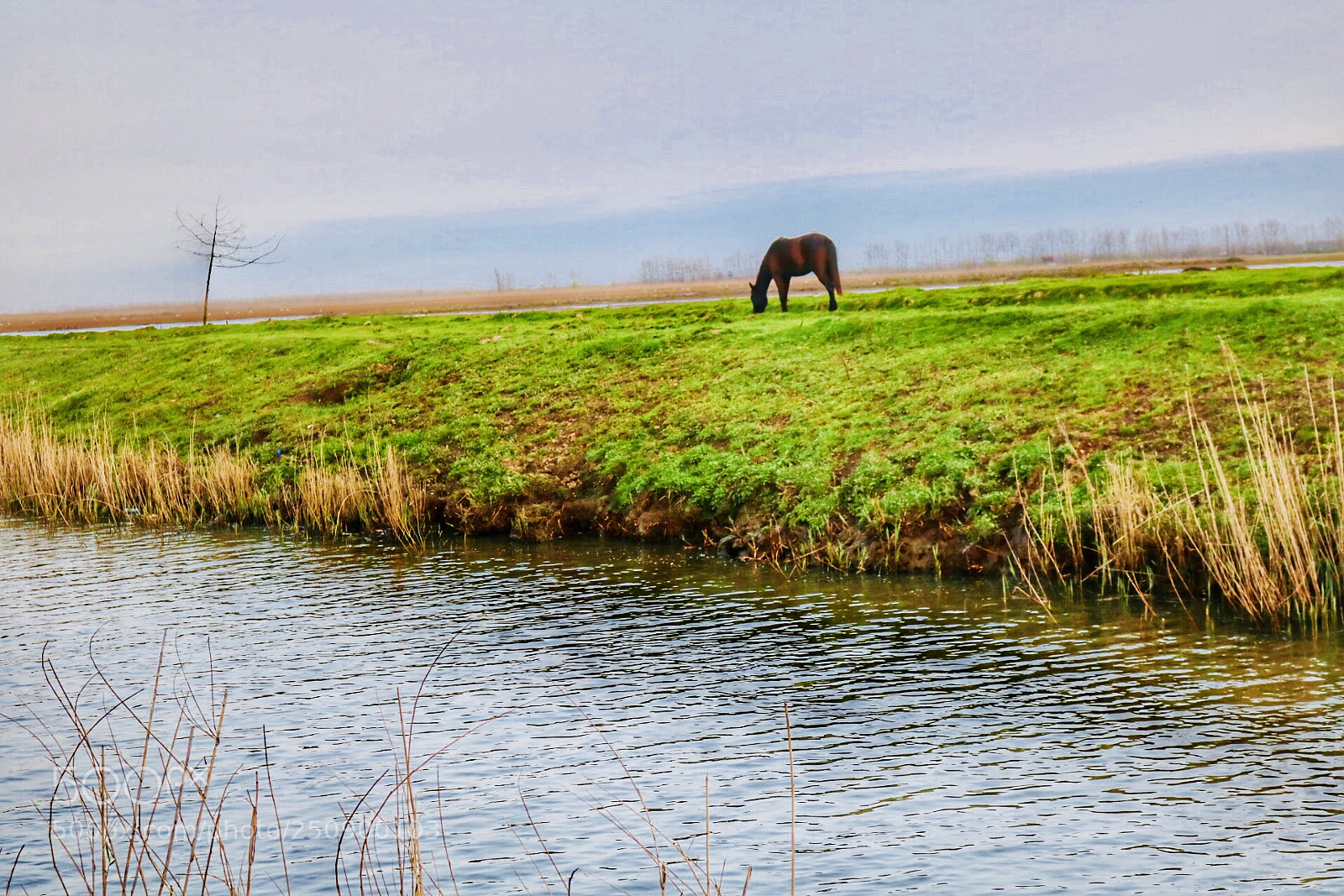 Canon EOS 750D (EOS Rebel T6i / EOS Kiss X8i) sample photo. Riverside3 photography