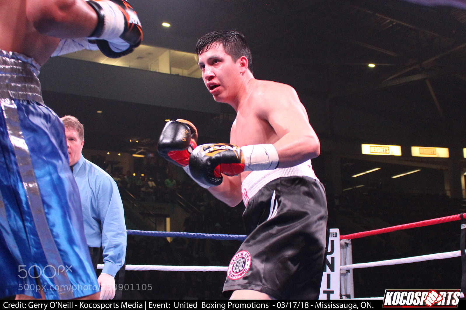 Canon EOS 700D (EOS Rebel T5i / EOS Kiss X7i) sample photo. Mario bedolla orozzo vs photography