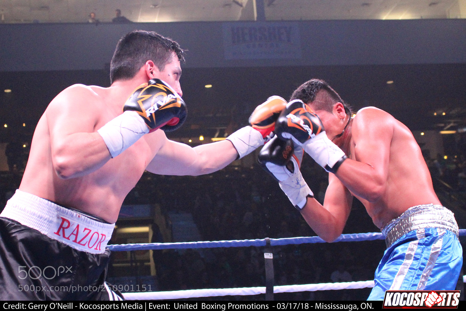 Canon EOS 700D (EOS Rebel T5i / EOS Kiss X7i) sample photo. Mario bedolla orozzo vs photography