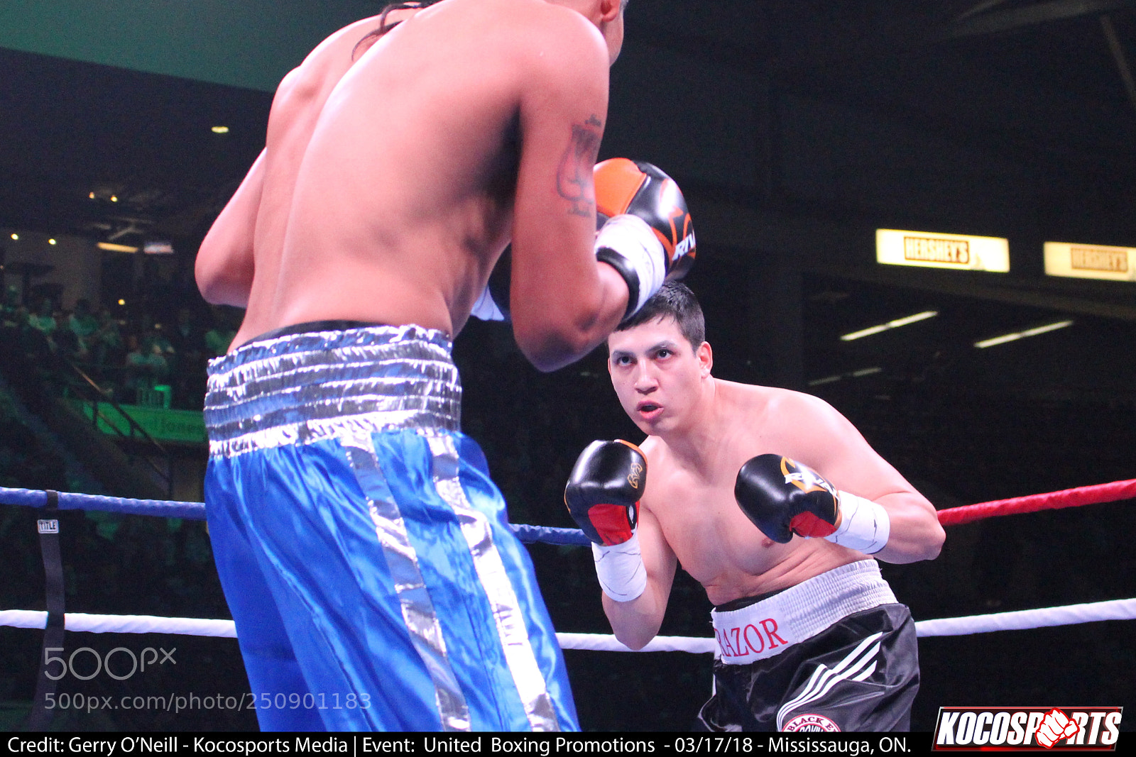 Canon EOS 700D (EOS Rebel T5i / EOS Kiss X7i) sample photo. Mario bedolla orozzo vs photography