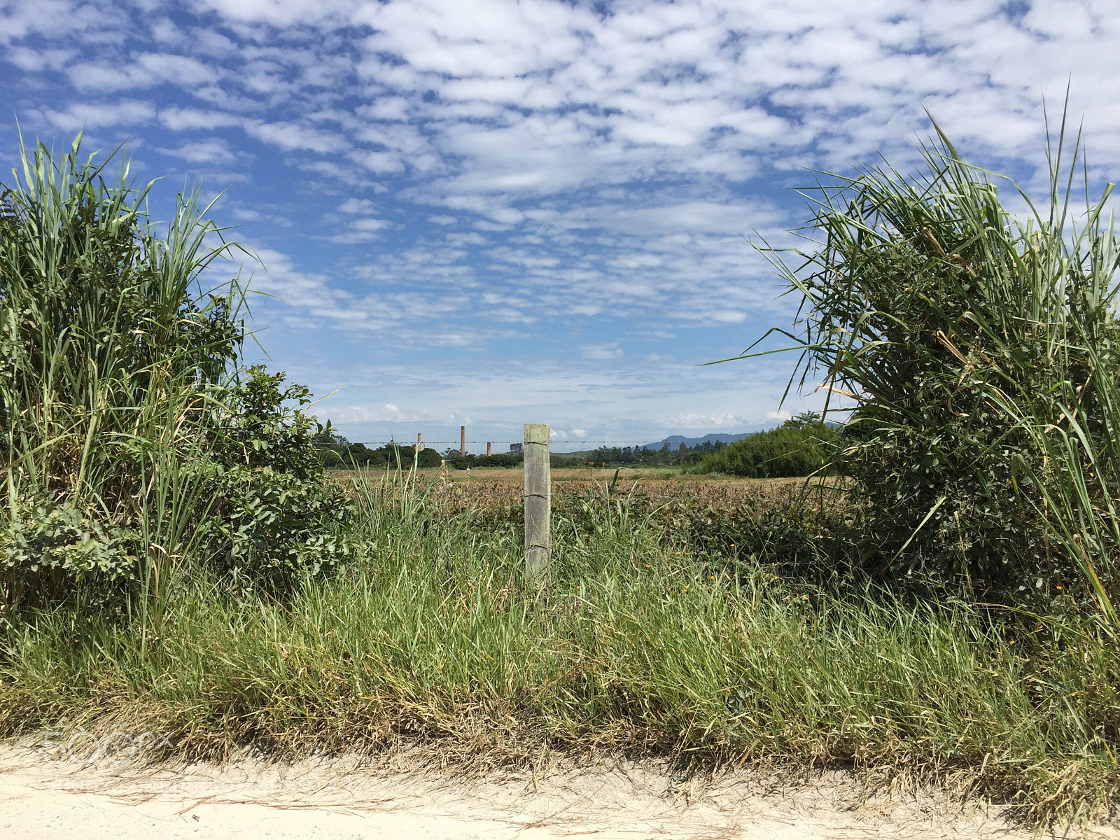 Apple iPhone 6 sample photo. Untitled photography
