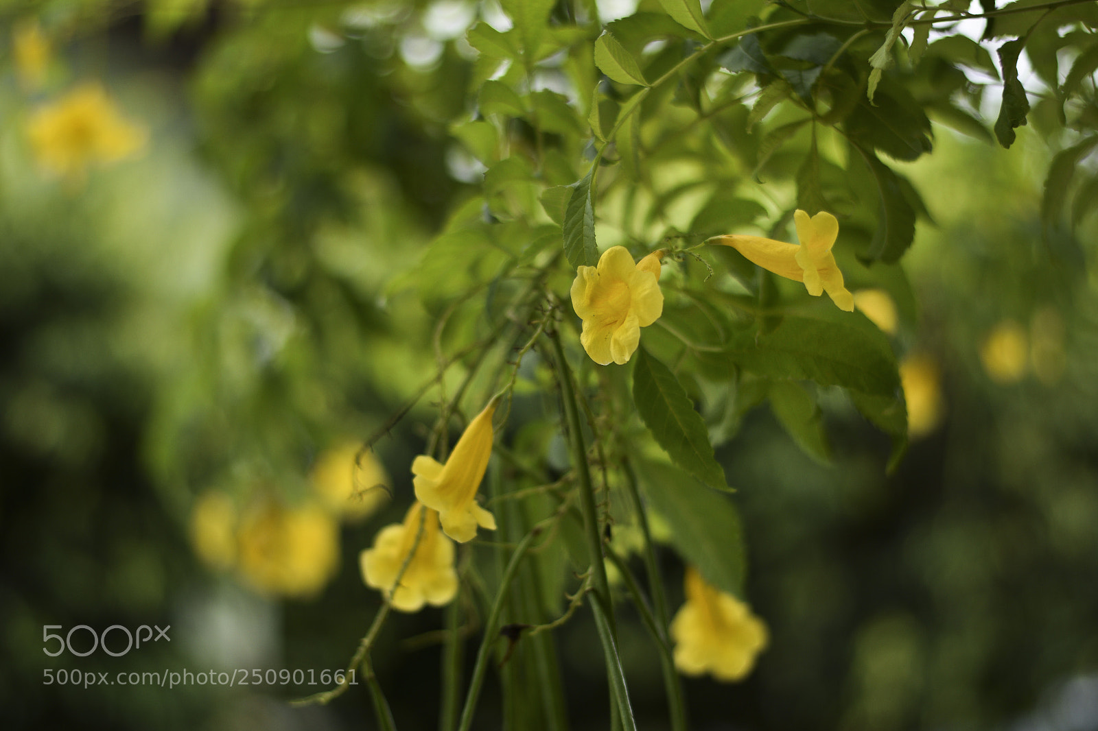 Nikon D5300 sample photo. Untitled photography