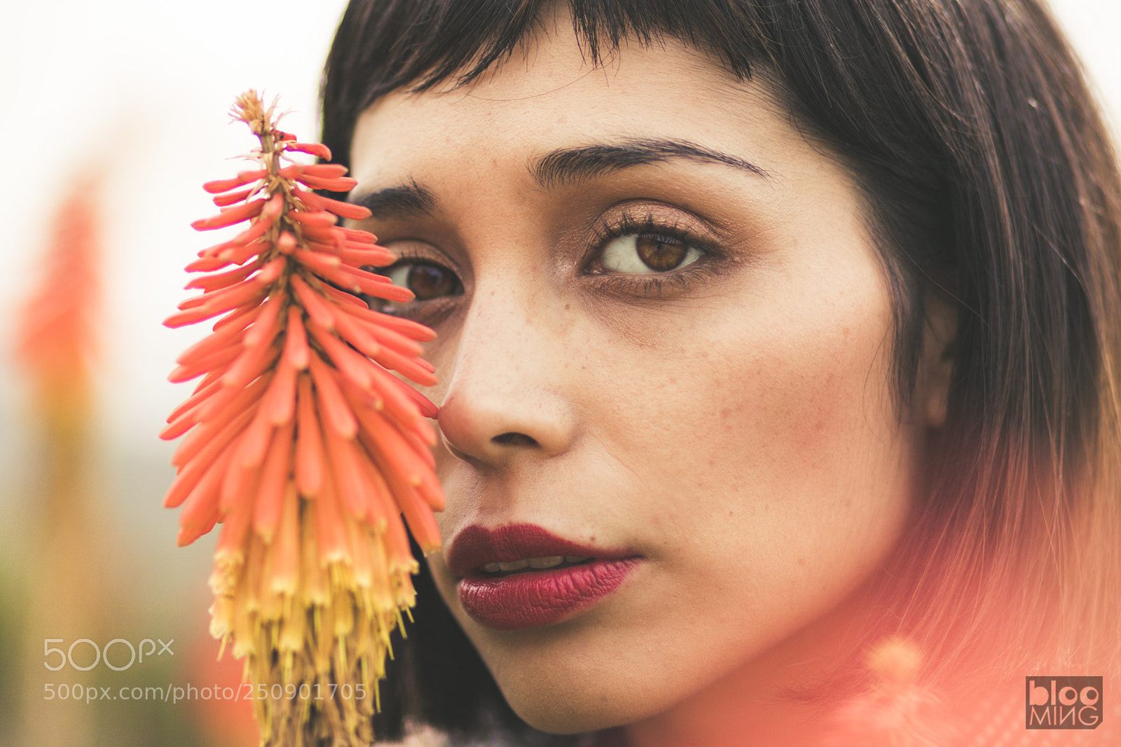 Canon EOS 750D (EOS Rebel T6i / EOS Kiss X8i) sample photo. Flor extraña photography