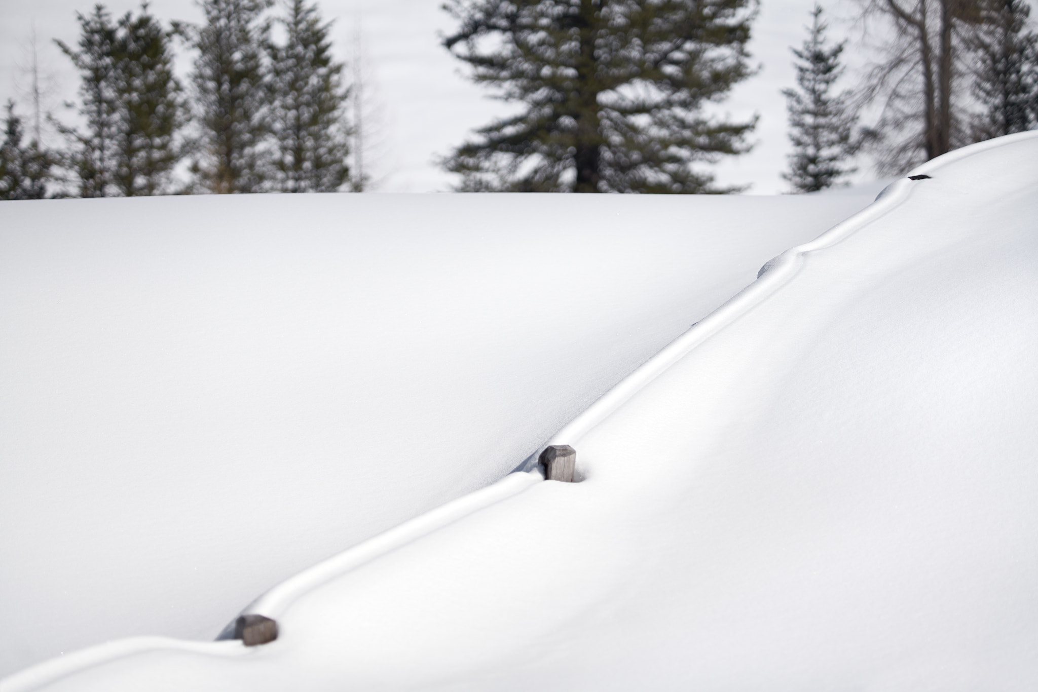 Sony 70-200mm F2.8 G sample photo. Snow covered fence photography