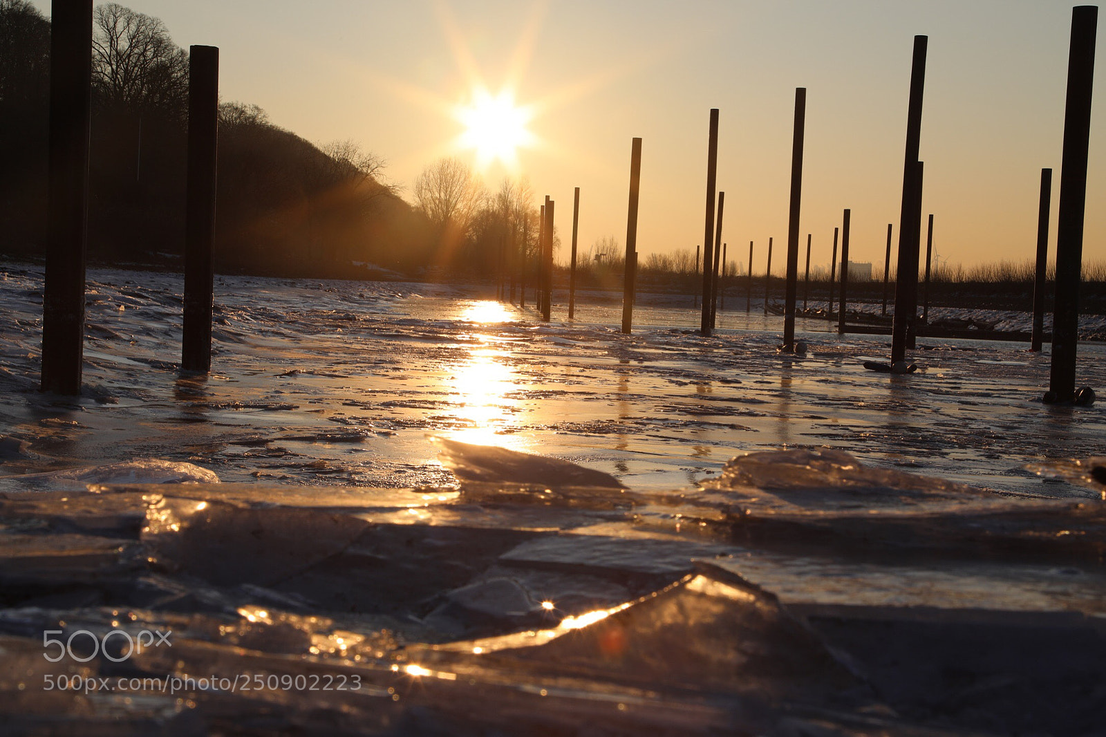 Canon EOS 5D Mark IV sample photo. Cold morning photography