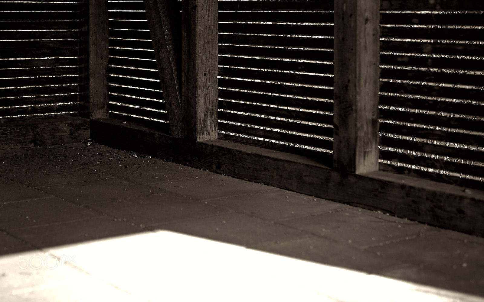Nikon D810 sample photo. Light & shadow_2156 1.jpg photography