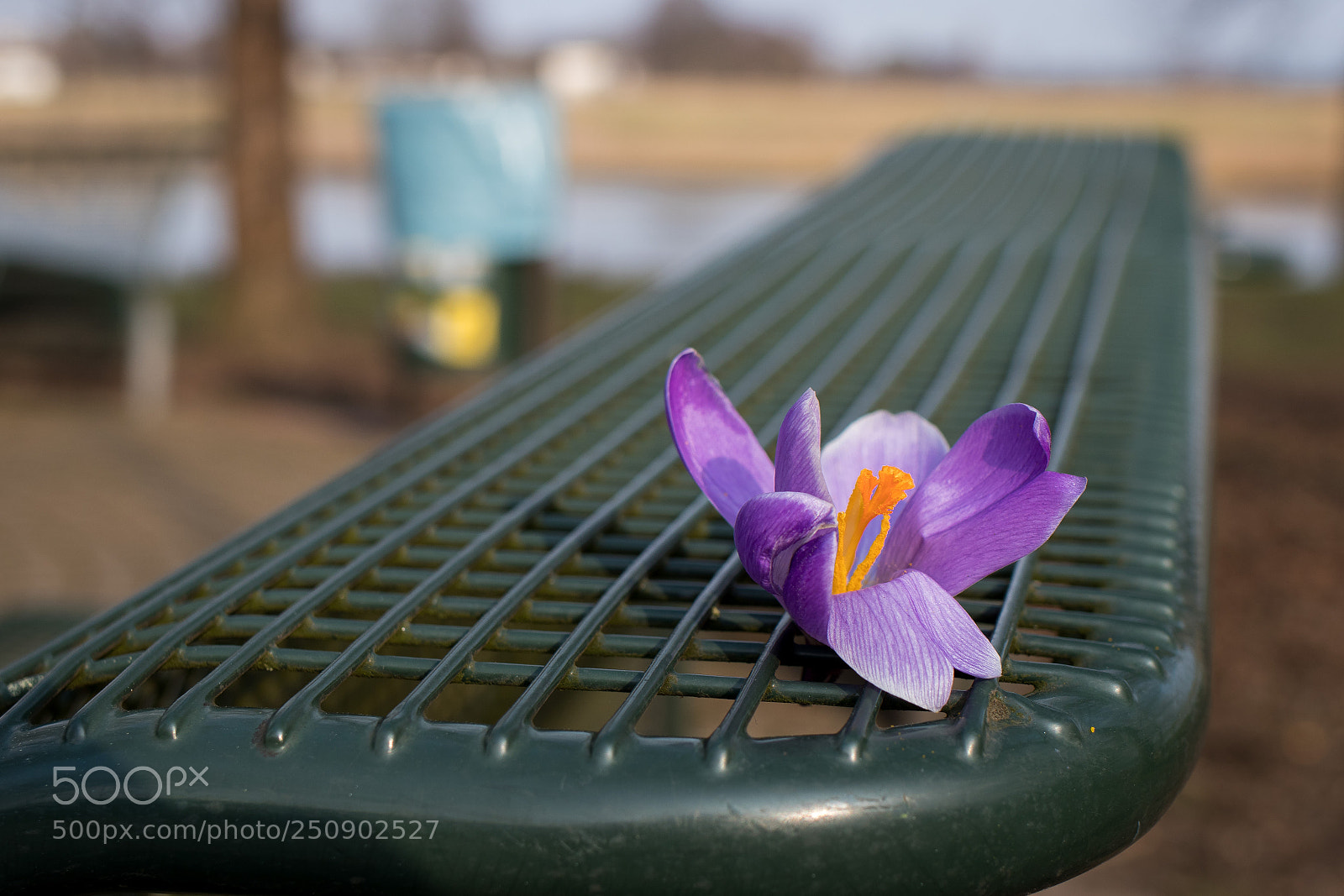 Canon EOS 80D sample photo. Left behind photography