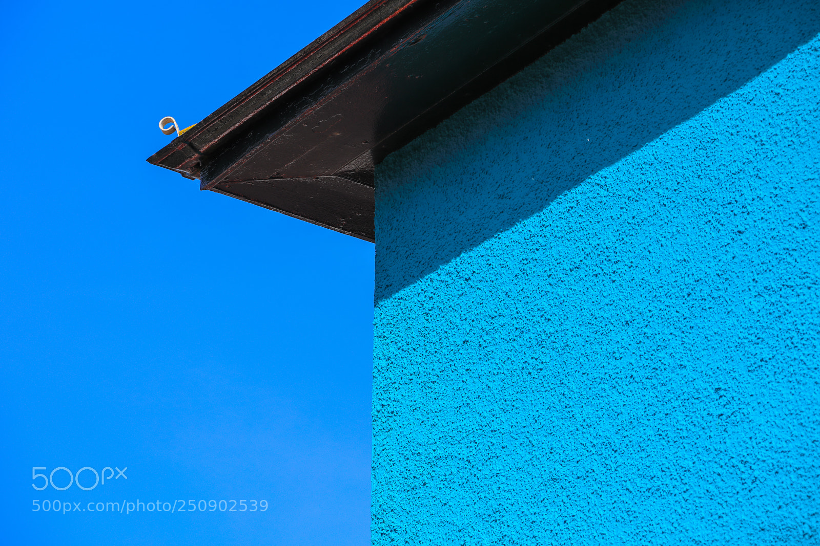 Canon EOS 5D Mark IV sample photo. Untitled photography