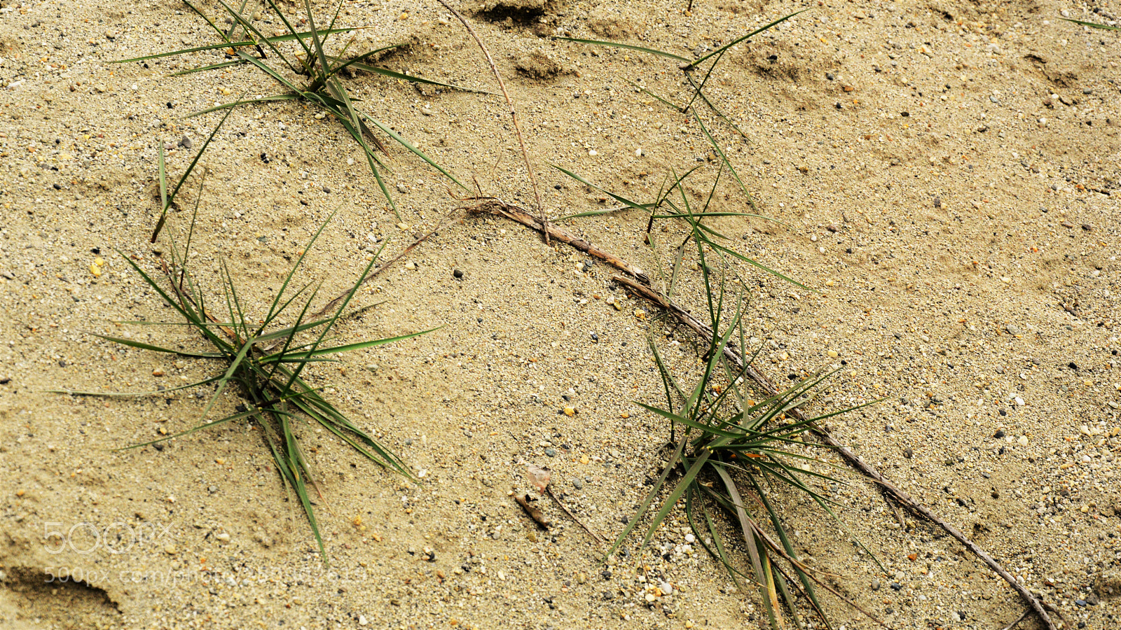 Nikon D3200 sample photo. Untitled photography