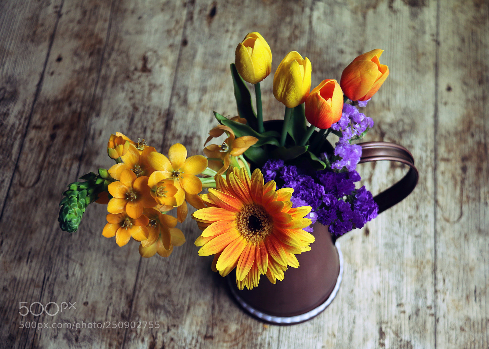 Canon EOS 70D sample photo. Joyful days photography