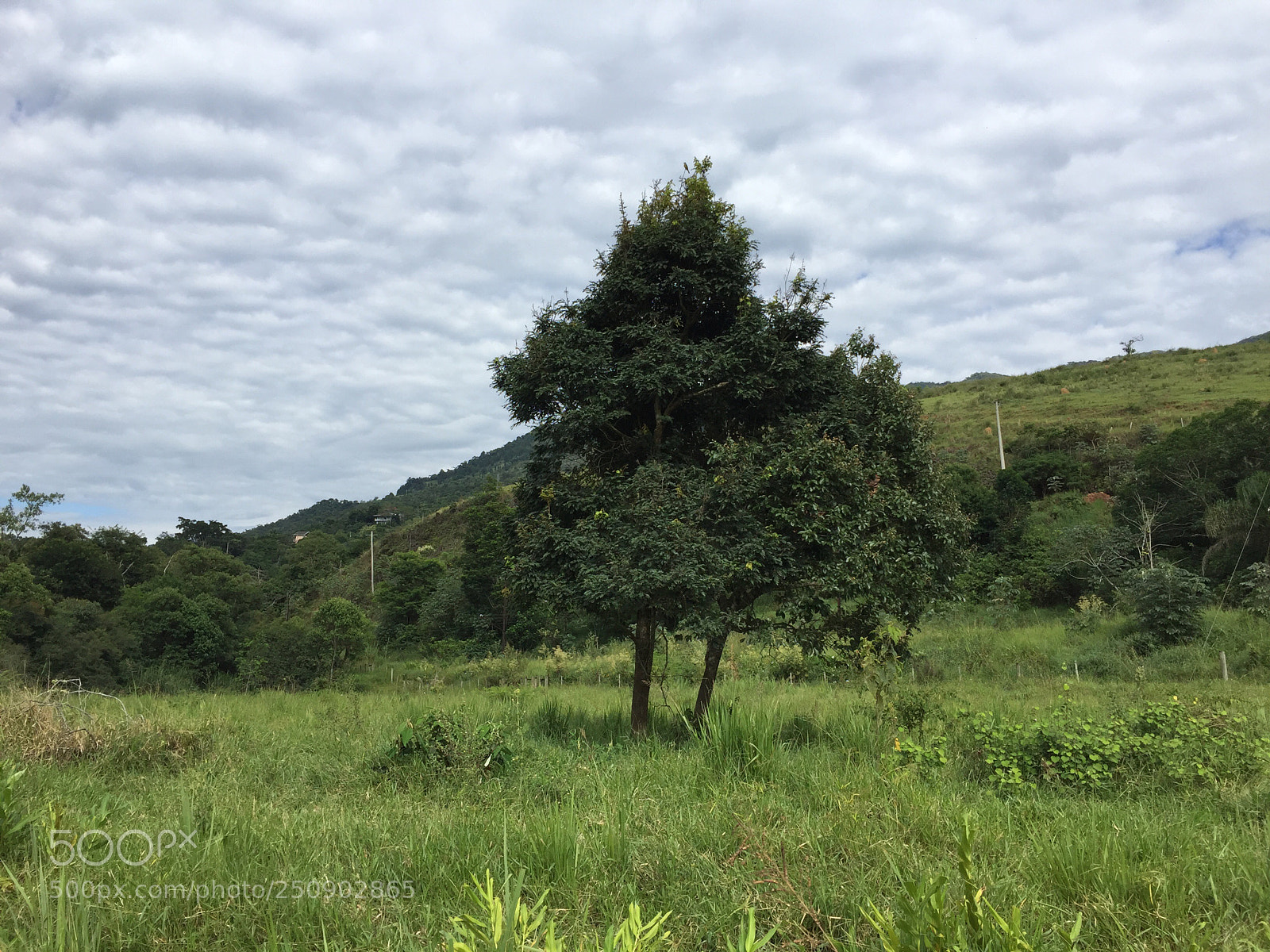 Apple iPhone 6 sample photo. Untitled photography
