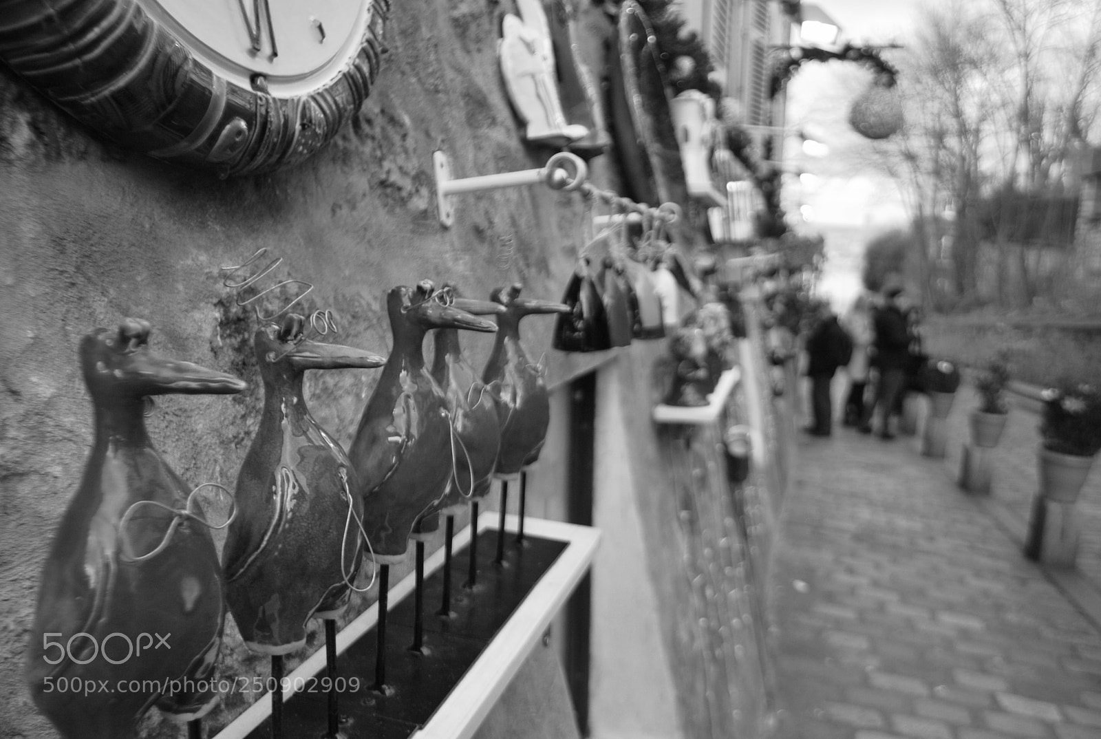 Nikon D60 sample photo. Untitled photography