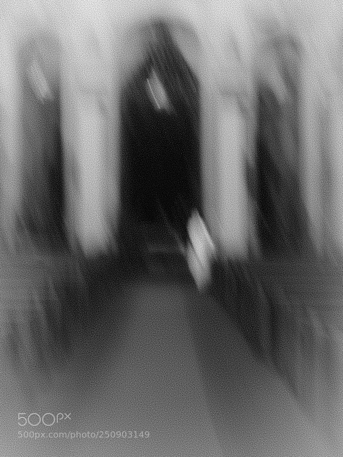 Olympus PEN-F sample photo. Untitled photography