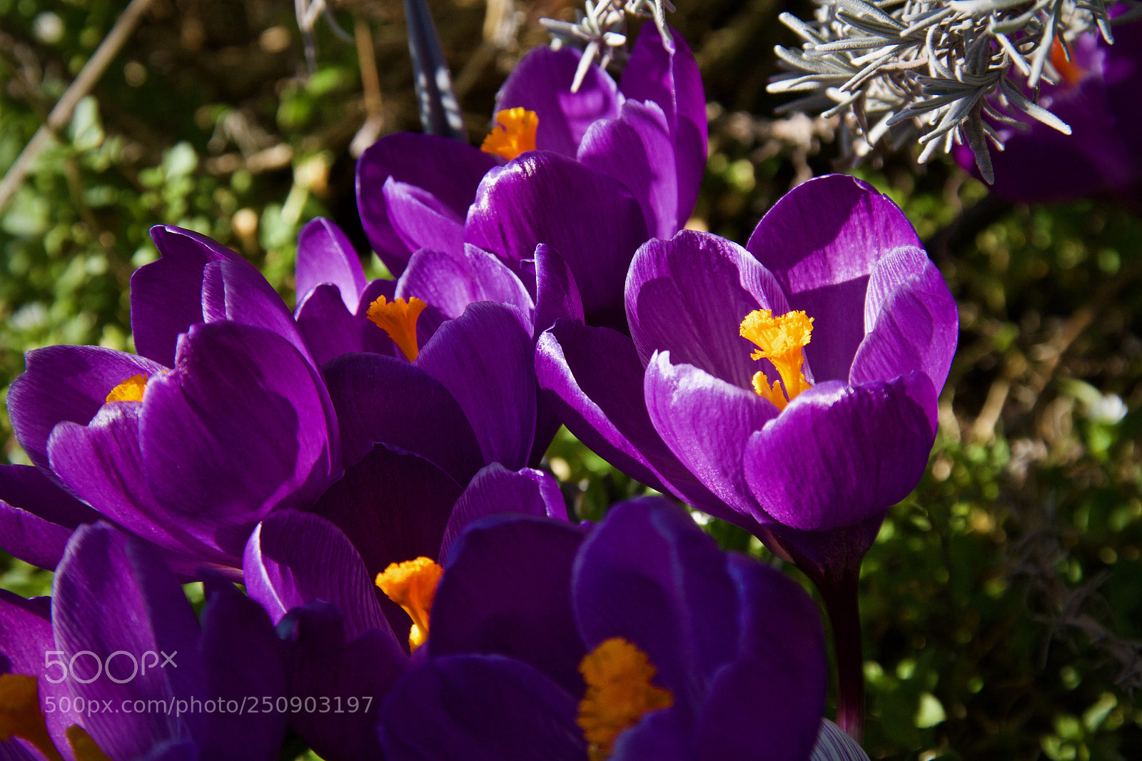 Canon EOS 7D sample photo. Oh, there is the photography