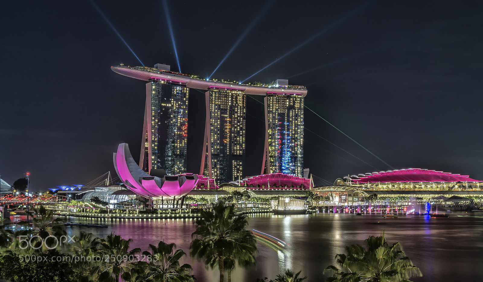 Sony a6000 sample photo. Singapore mbs violet colors photography