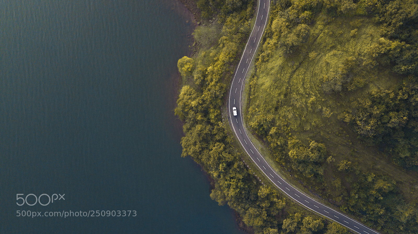 DJI FC220 sample photo. Master peace! ? photography