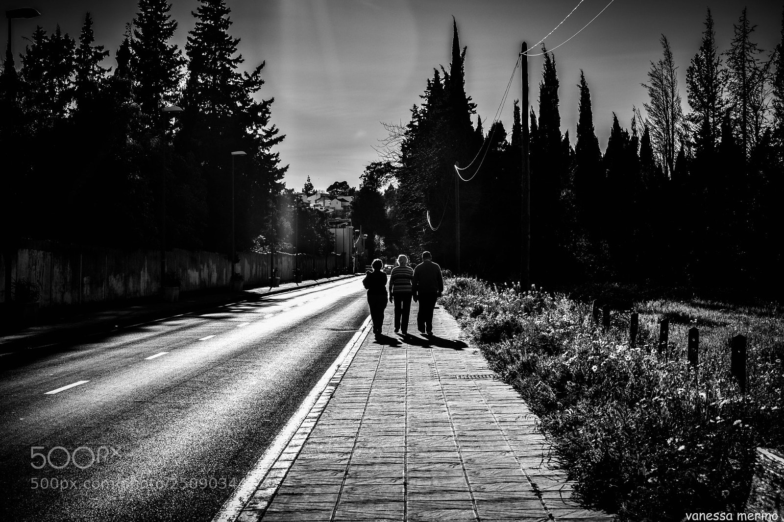 Nikon D3300 sample photo. Untitled photography