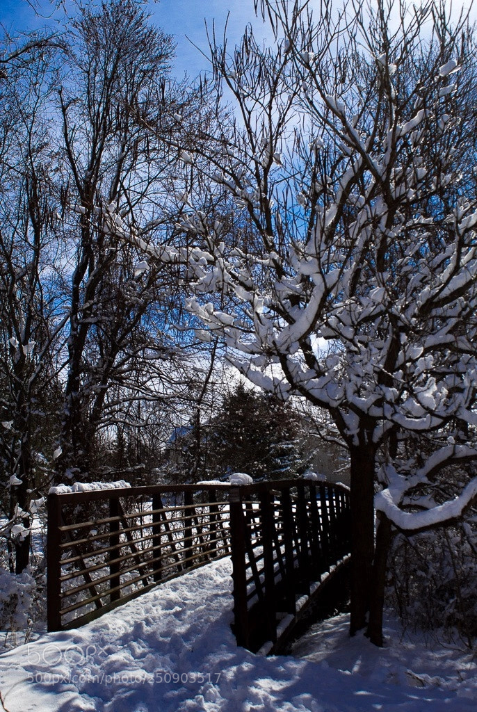 Canon EOS 1300D (EOS Rebel T6 / EOS Kiss X80) sample photo. Spring winterland photography