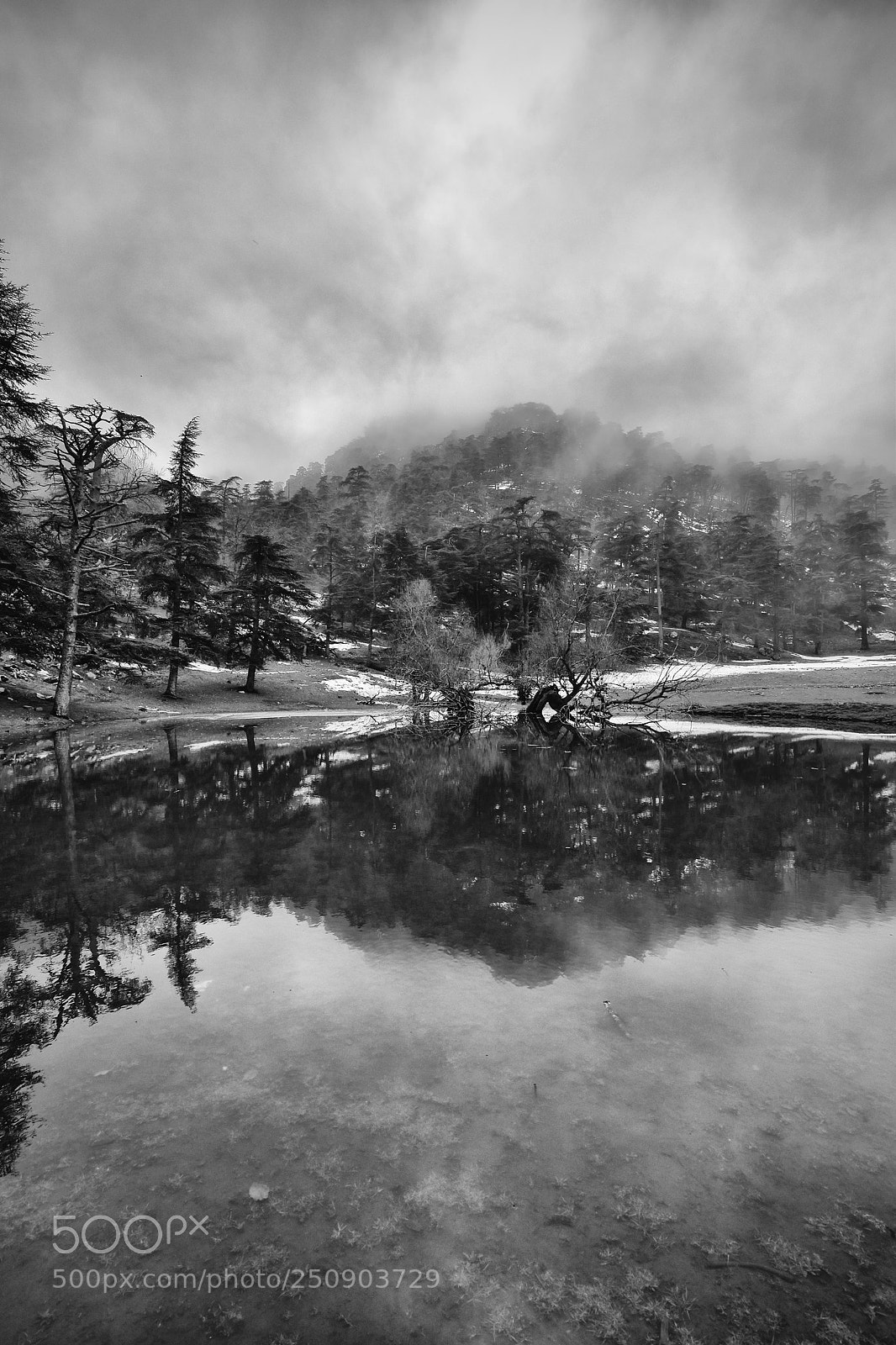 Nikon D5500 sample photo. Foggy mind photography