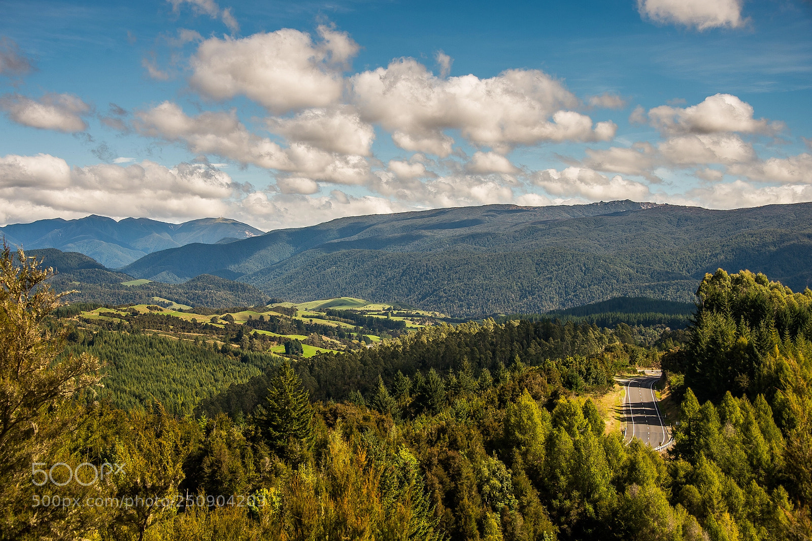 Nikon D4 sample photo. New zealand countryside photography