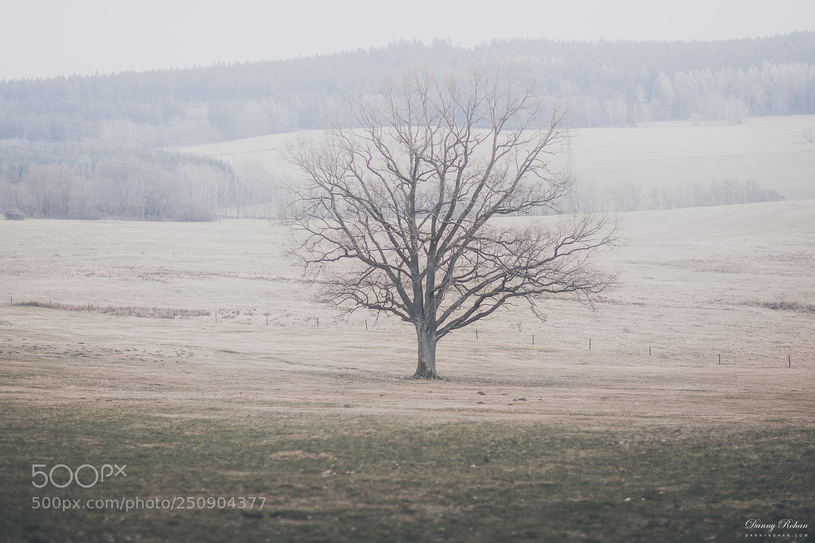 Canon EOS 5D Mark II sample photo. At the beginning of photography