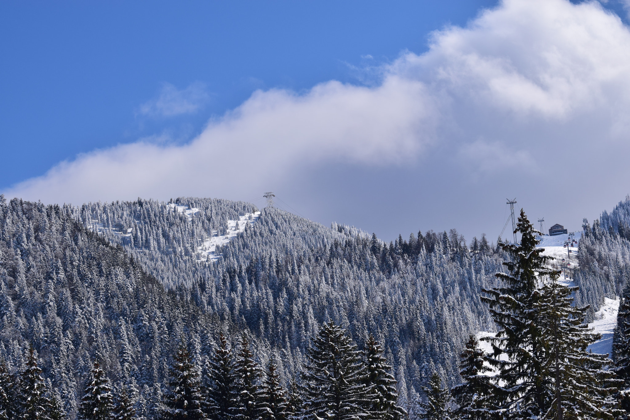 Nikon D5300 sample photo. Winter time photography