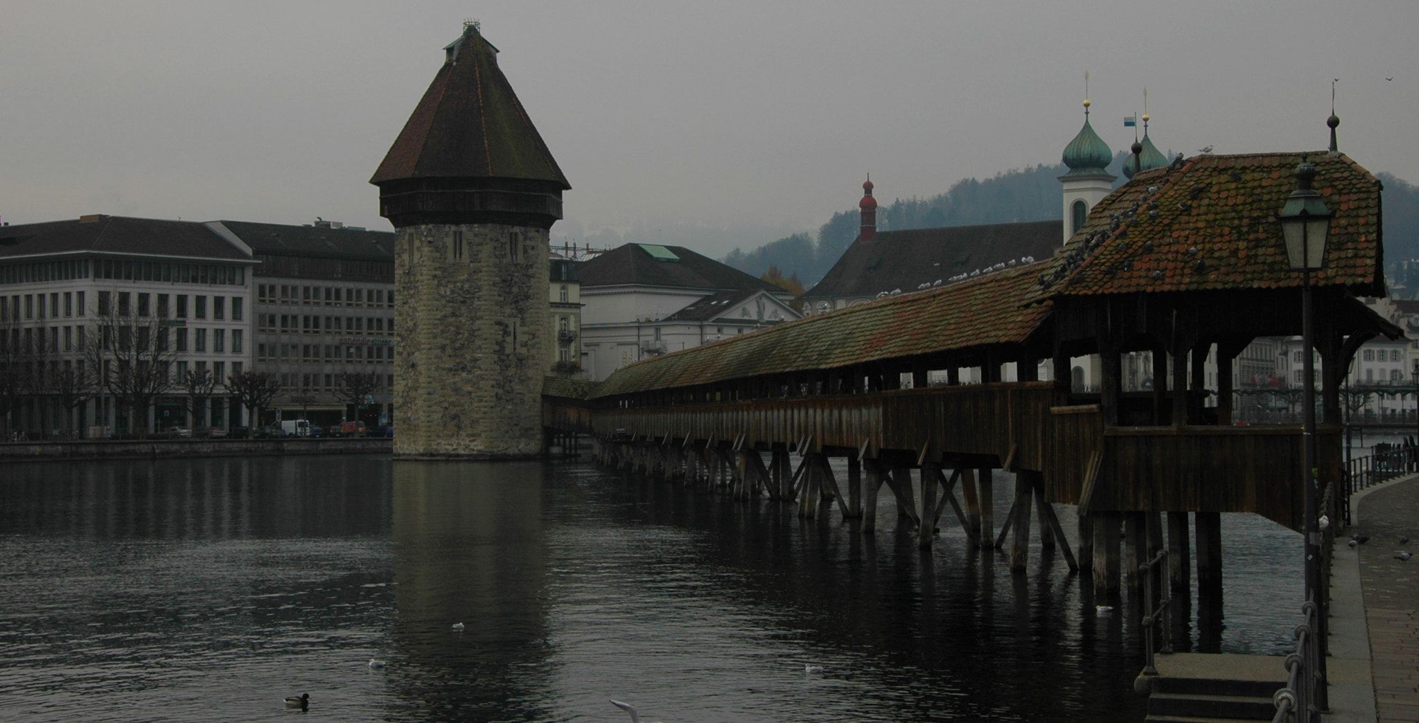 Nikon D70s sample photo. Lutzertn 4 photography