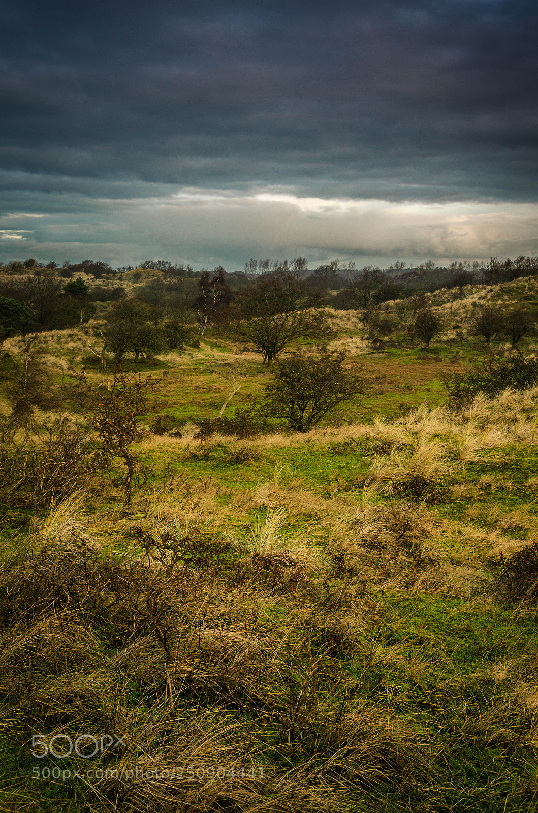 Nikon D7000 sample photo. Dunes photography
