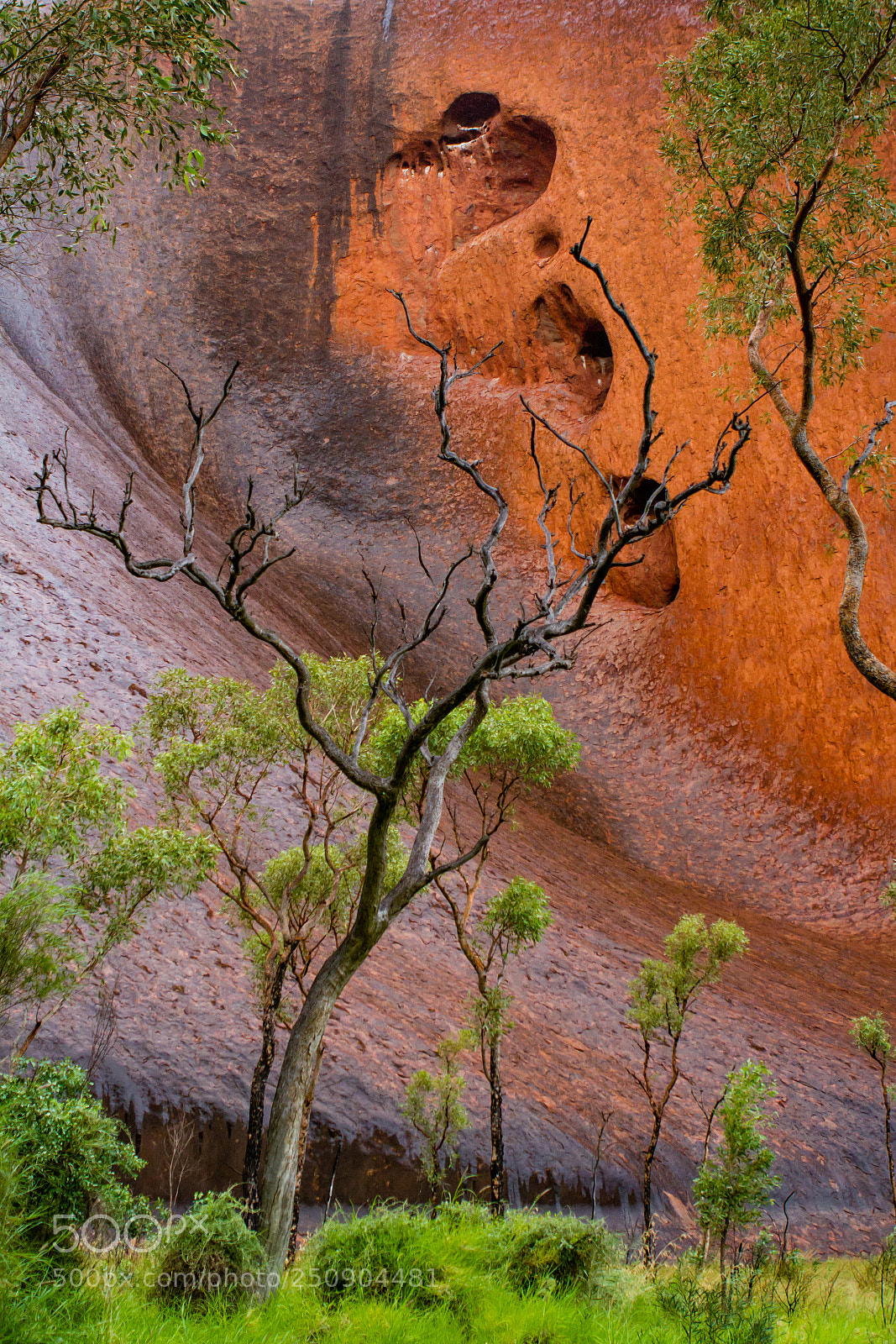 Canon EOS 7D sample photo. At the base of photography