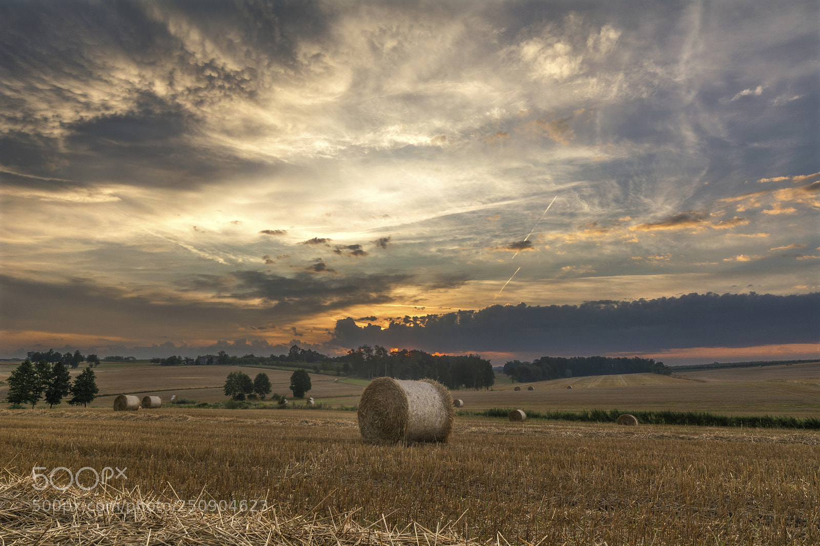 Nikon D5200 sample photo. Field landscape of poland photography