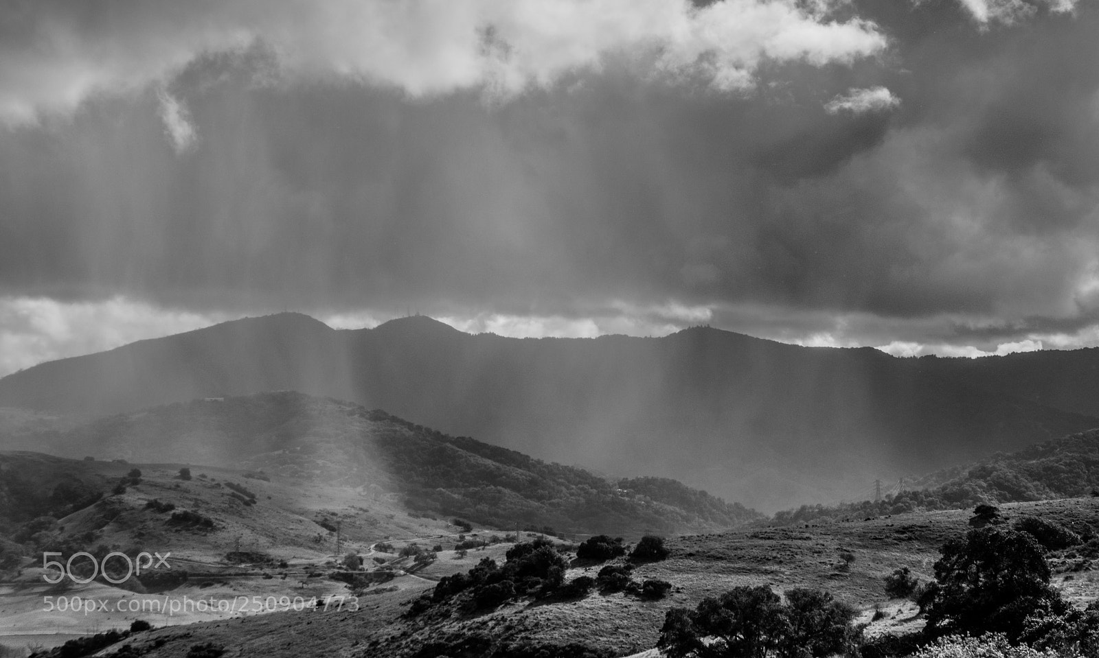 Pentax K-3 sample photo. Sunshine on a rainy photography